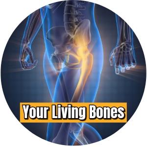 Your Living Bones (1)